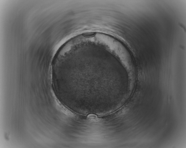 X0000101481522200807211347