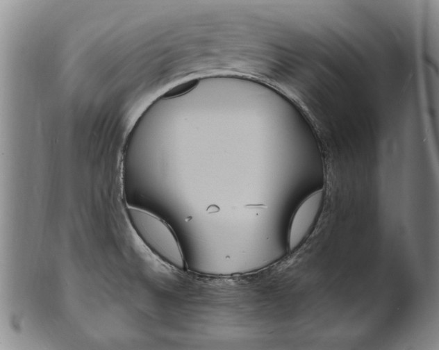 X0000101481524200807211347