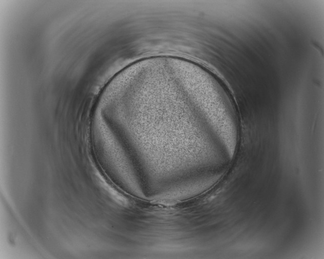 X0000101481525200807211347