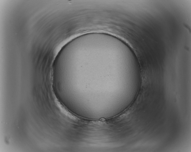 X0000101481526200807211347