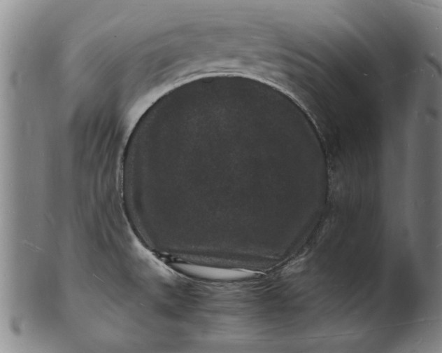 X0000101481527200807211347