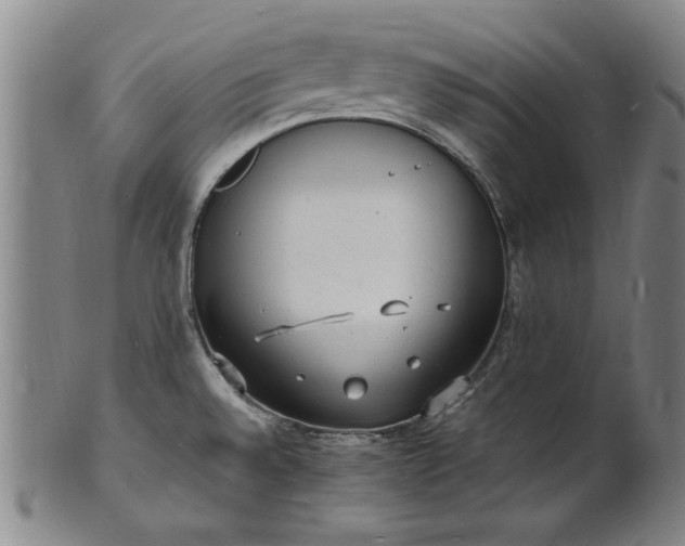 X0000101481528200807211347