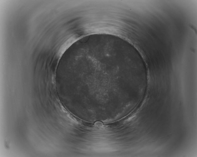 X0000101481529200807211347