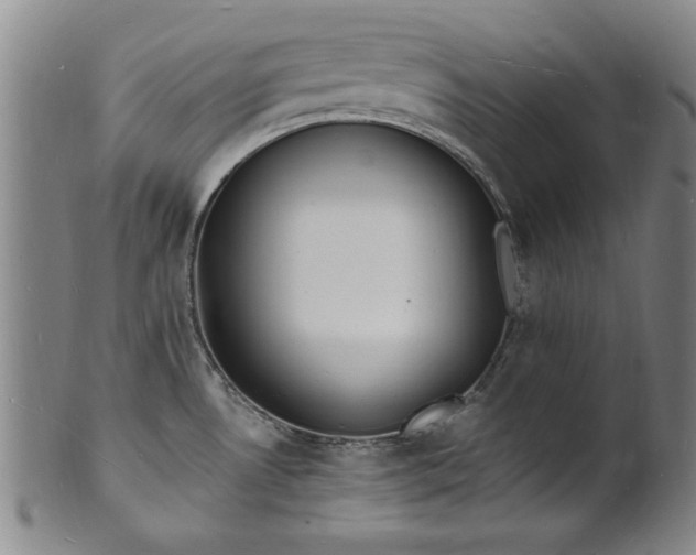 X0000101481530200807211347