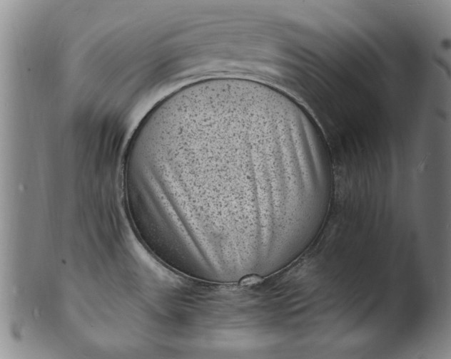 X0000101481531200807211347