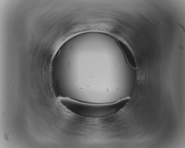 X0000101481532200807211347