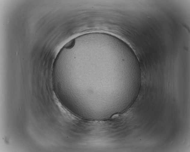 X0000101481534200807211347