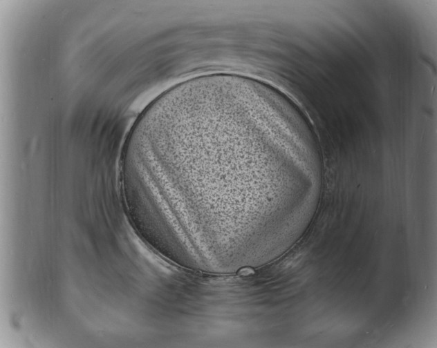 X0000101481535200807211347