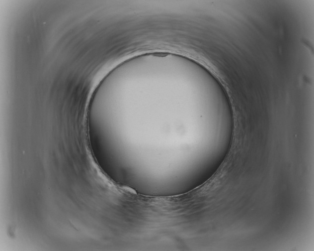 X0000101481536200807211347