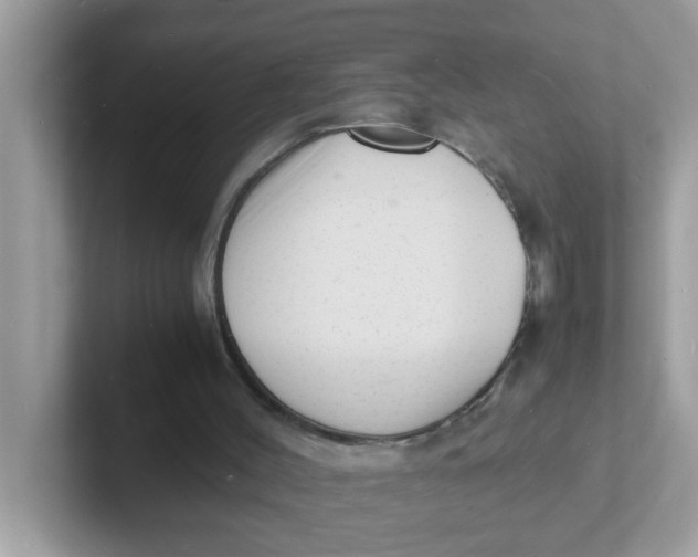 X0000101480004200807281049