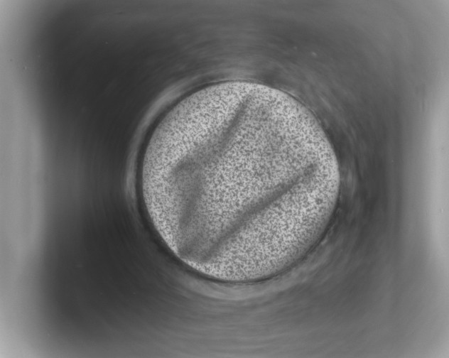 X0000101480006200807281049