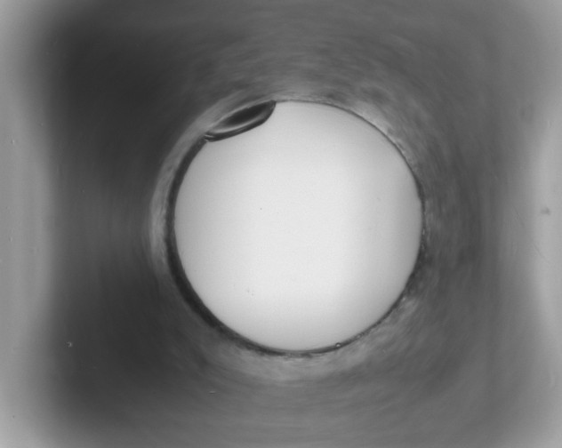 X0000101480007200807281049