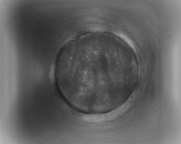 X0000101480009200807281049