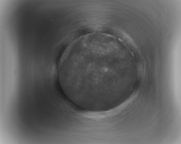 X0000101480029200807281048