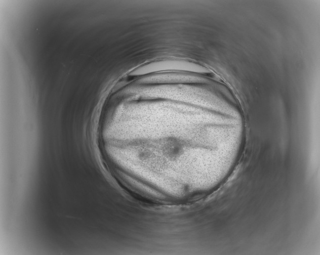 X0000101480049200807281047