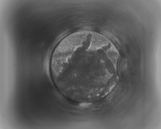 X0000101480051200807281047