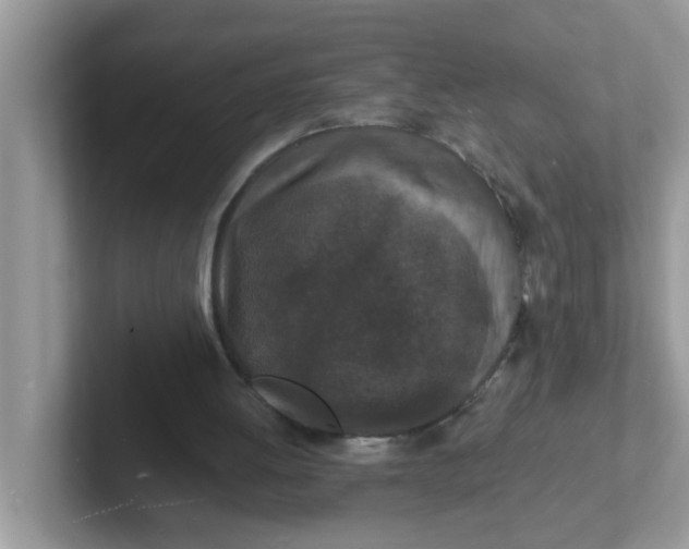 X0000101480052200807281047