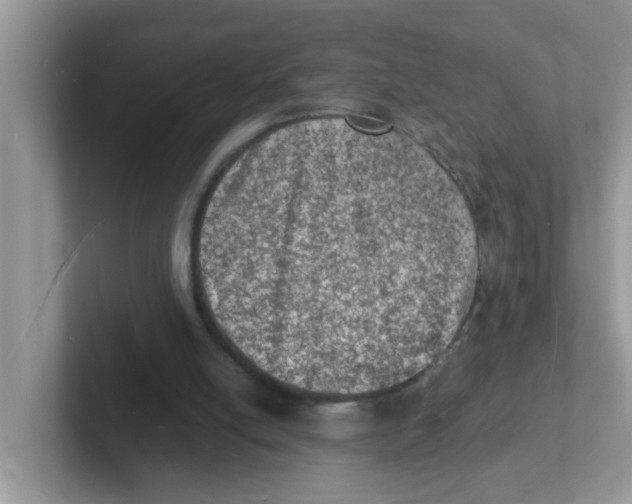 X0000101480054200807281047