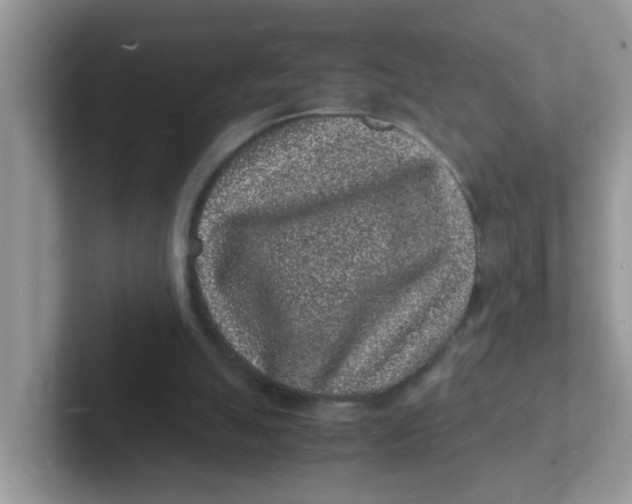 X0000101480055200807281047