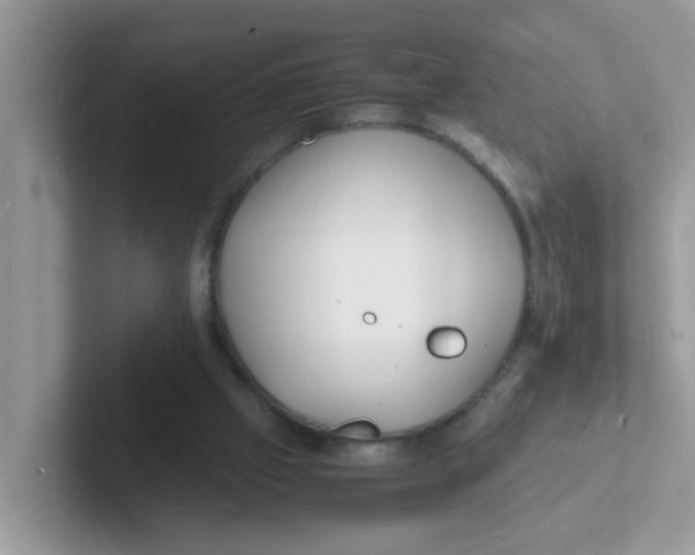 X0000101480057200807281047