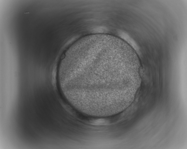 X0000101480058200807281047