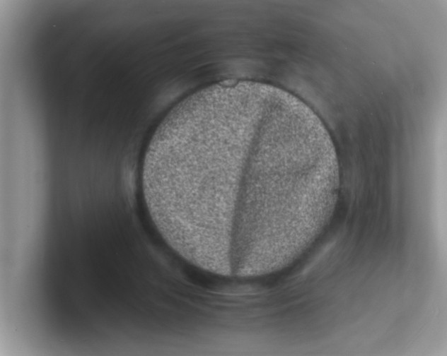 X0000101480063200807281048