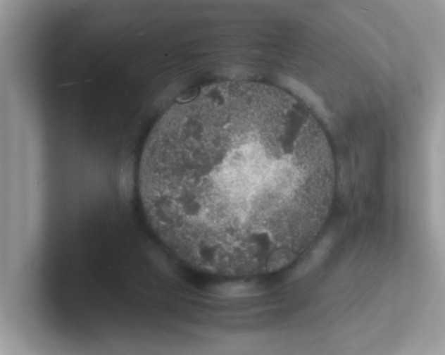 X0000101480065200807281048