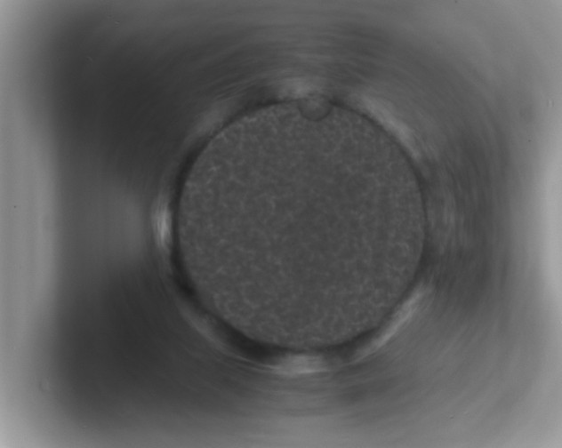 X0000101480067200807281048