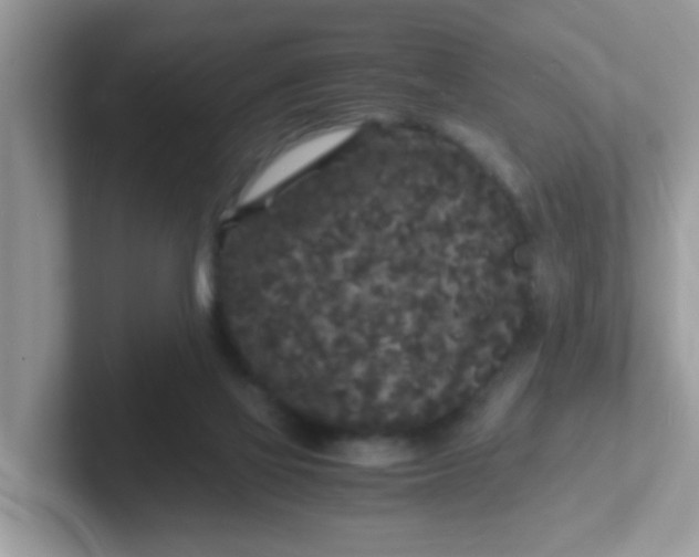 X0000101480069200807281048