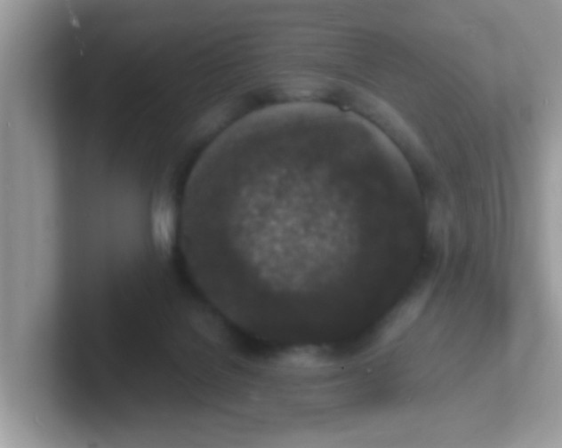 X0000101480076200807281048