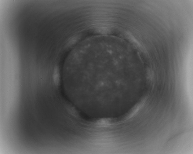 X0000101480080200807281048