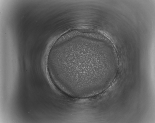 X0000101480097200807281047