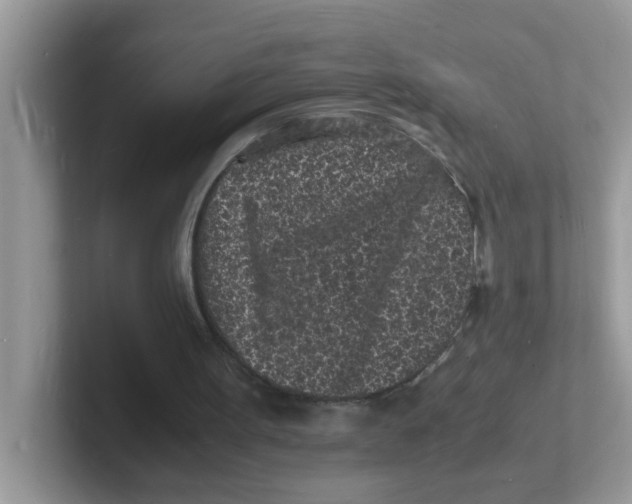 X0000101480099200807281047