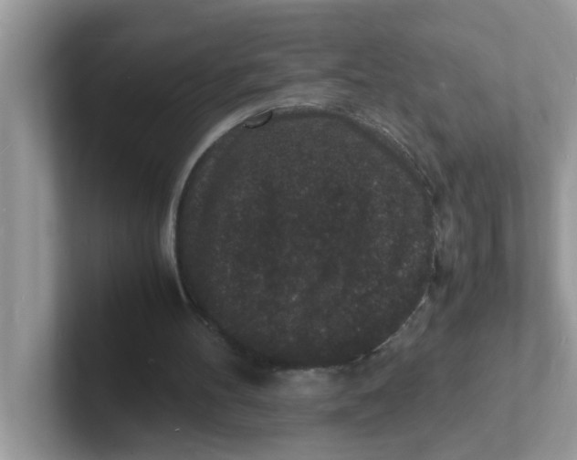 X0000101480100200807281047