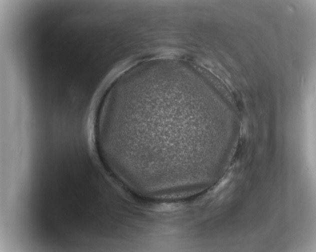 X0000101480101200807281047