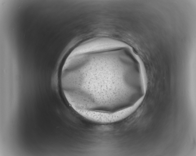 X0000101480102200807281047