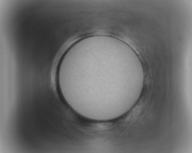 X0000101480103200807281047