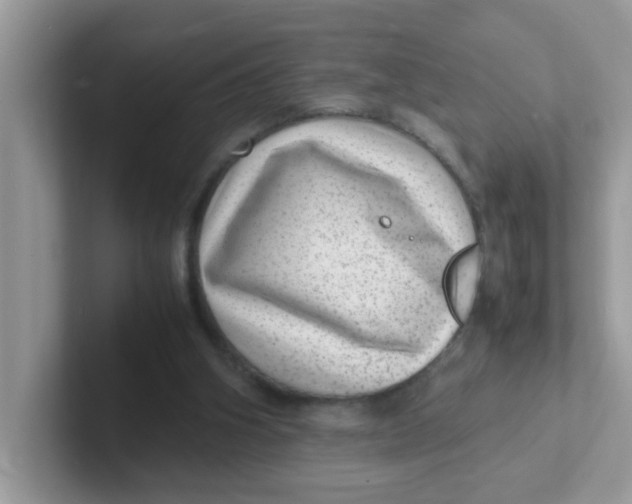 X0000101480106200807281047