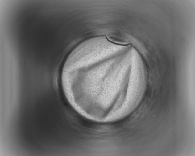 X0000101480107200807281047