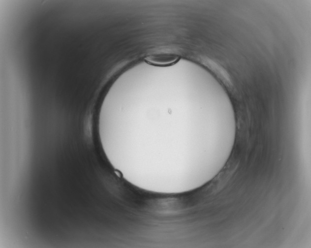 X0000101480108200807281047