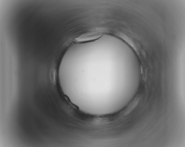 X0000101480109200807281047