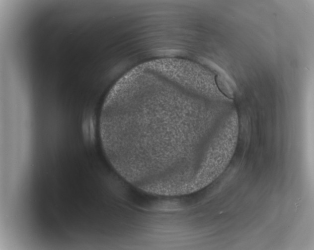 X0000101480110200807281047