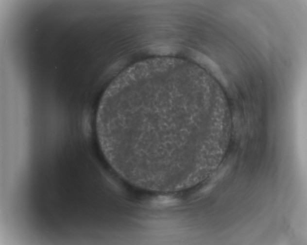 X0000101480114200807281047