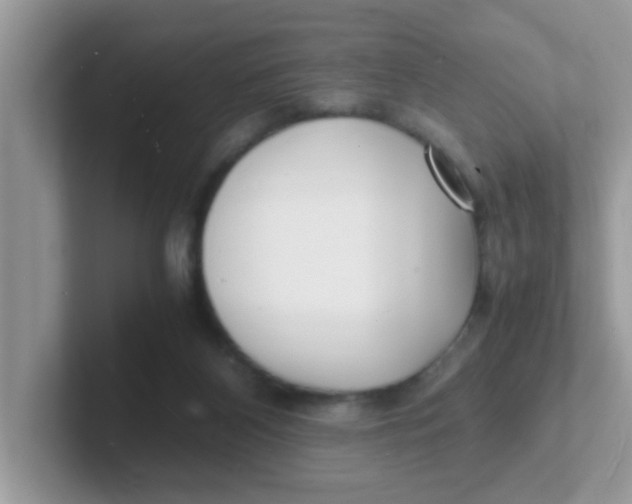 X0000101480116200807281047