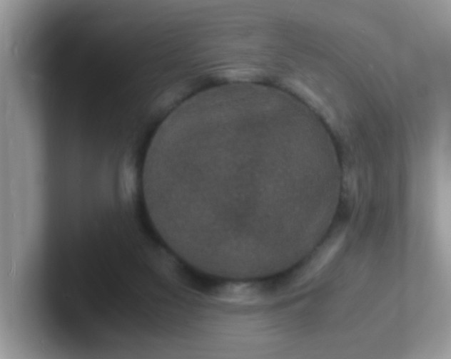 X0000101480117200807281047