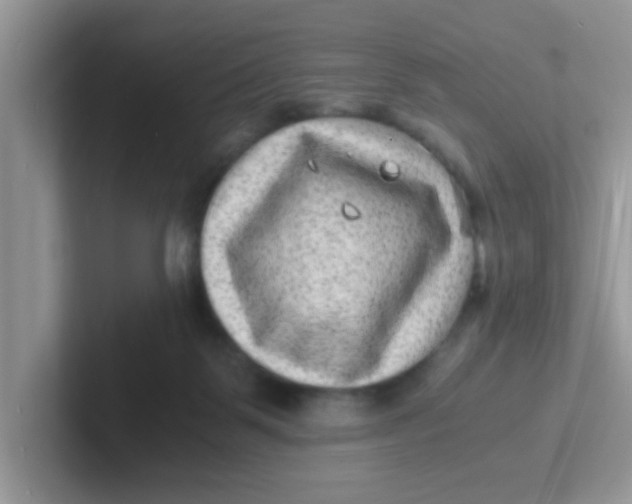 X0000101480123200807281047