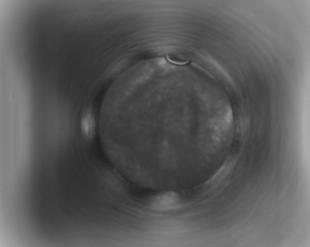 X0000101480124200807281047