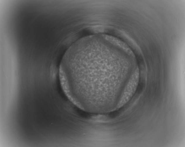 X0000101480125200807281047