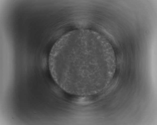 X0000101480130200807281047