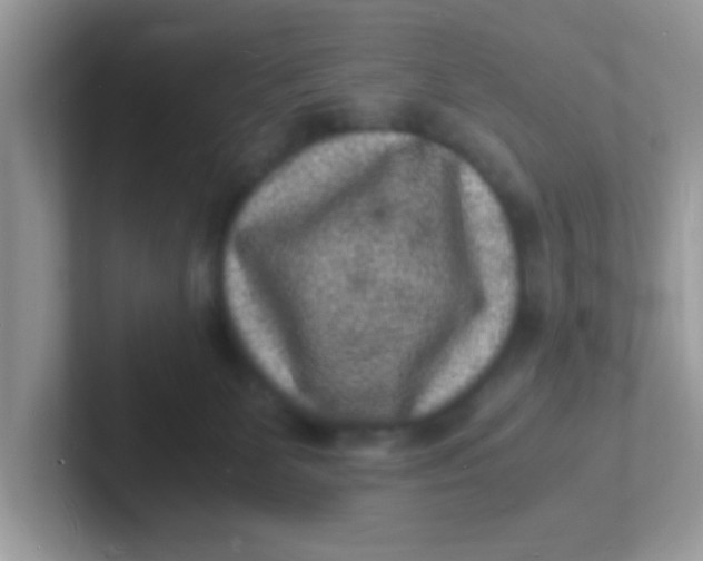 X0000101480131200807281047